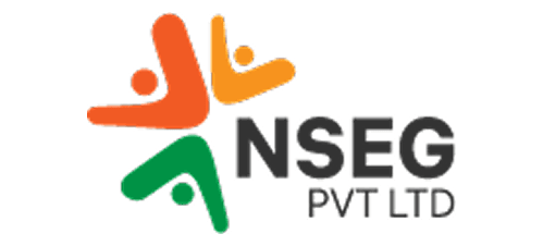NSEG Pvt Ltd logo